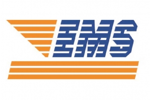 中山EMS的国际物流公司